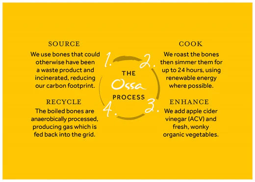 Protecting the Environment, Sustainability and Your Wellbeing